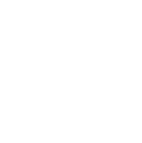 download pdf
